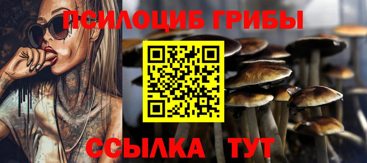 Железногорск  Псилоцибиновые грибы MAGIC MUSHROOMS  Вход с VPN 